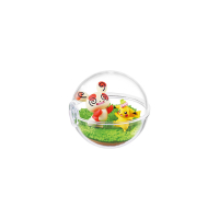 Authentic Pokemon figures re-ment Terrarium collection Happiness Everyday